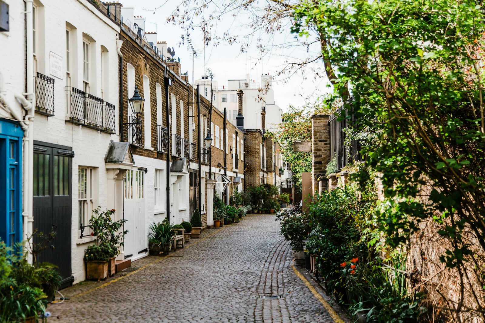 Traditional terraced homes on a residential street